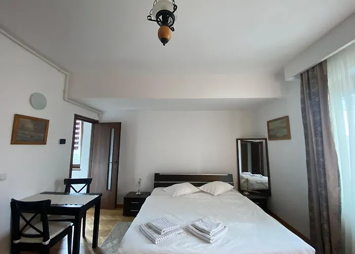 Apartament Dinamic Old Town